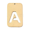304 Stainless Steel Pendants STAS-D200-01A-G-1