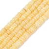 Natural Freshwater Shell Beads Strands SHEL-Q028-01B-1