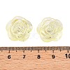 Transparent Acrylic Beads OACR-N137-32D-3