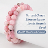 Olycraft 2 Strands Natural Cherry Blossom Agate Beads Strands G-OC0005-18-4