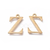 304 Stainless Steel Charms STAS-K215-17G-2