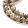 Natural Maifanite/Maifan Stone Beads Strands G-I187-4mm-01-6