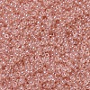 MIYUKI Round Rocailles Beads SEED-JP0008-RR0369-3