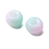 6/0 Opaque Glass Seed Beads SEED-YW0002-13P-3