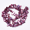Freshwater Shell Beads Strands X-SHEL-S274-40G-2