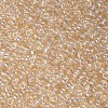 12/0 Glass Seed Beads SEED-A006-2mm-102-2