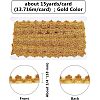 Metallic Lace Trim OCOR-WH0058-01G-2