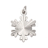 304 Stainless Steel Pendants STAS-A125-12P-1
