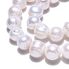 Natural Cultured Freshwater Pearl Beads Strands PEAR-N013-10D-5