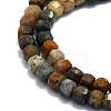 Natural Pietersite Beads Strands G-P457-B01-41-2