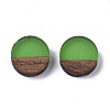 Resin & Wood Cabochons RESI-S358-70-H55-1