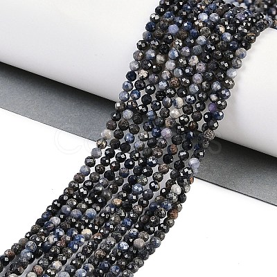 Natural Sapphire Beads Strands G-P553-G07-02-1