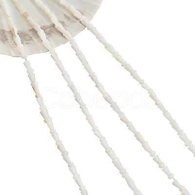 4 Strands Natural Freshwater Shell Beads Strands SHEL-NB0001-52-1