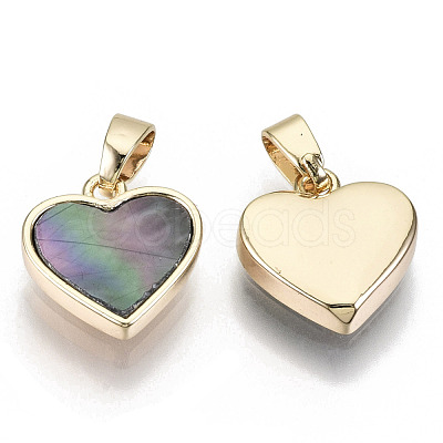 Natural Black Lip Shell Charms KK-R112-001-NF-1