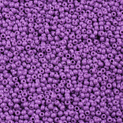 11/0 FGB Grade A Baking Paint Glass Seed Beads X-SEED-N001-A-1052-1