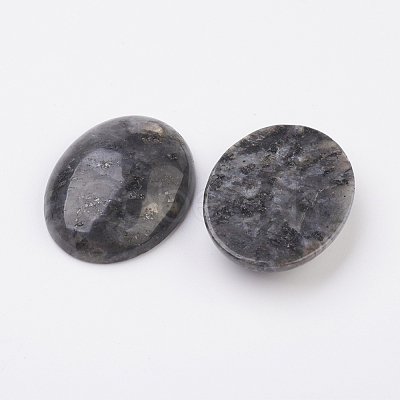 Natural Larvikite Flat Back Cabochons G-G741-30x40mm-04-1