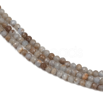 Natural Angelite Beads Strands G-RM2025-B36-3mm-1