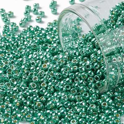 TOHO 11/0 Round Beads X-SEED-TR11-PF0561-1