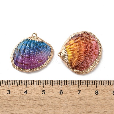 Sea Shell Pendants SSHEL-B002-07G-02-1