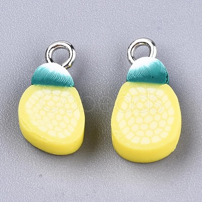 Handmade Polymer Clay Charms CLAY-T016-60-1