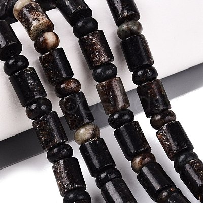 Natural Biotite Beads Strands G-Q616-09B-1