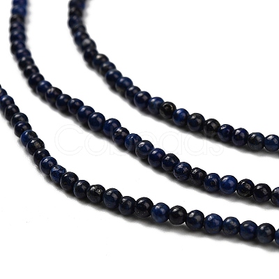 Dyed Natural Lapis Lazuli Beads Strands G-H317-A01-1