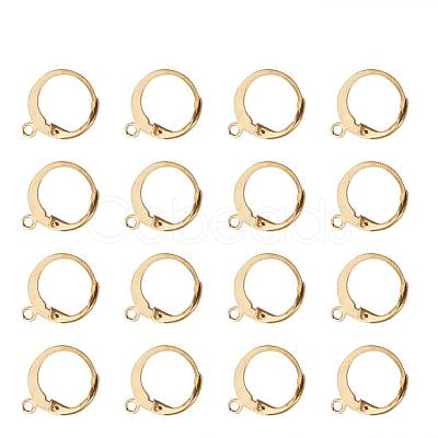 304 Stainless Steel Leverback Earring Findings X-STAS-G081-62G-1