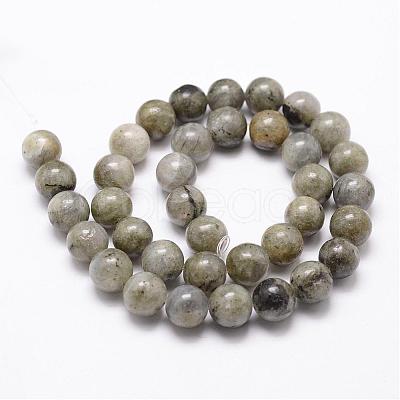 Natural Labradorite Bead Strands G-D840-64-8mm-1