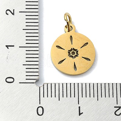 304 Stainless Steel Charms STAS-C097-46G-03-1