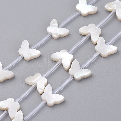 Natural White Shell Mother of Pearl Shell Beads SSHEL-L018-013-1