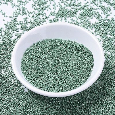 MIYUKI Delica Beads X-SEED-J020-DB1171-1