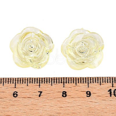 Transparent Acrylic Beads OACR-N137-32D-1
