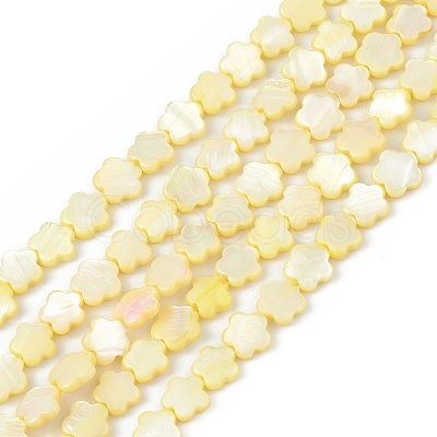 Natural Freshwater Shell Dyed Beads Strands SHEL-K001-001C-1