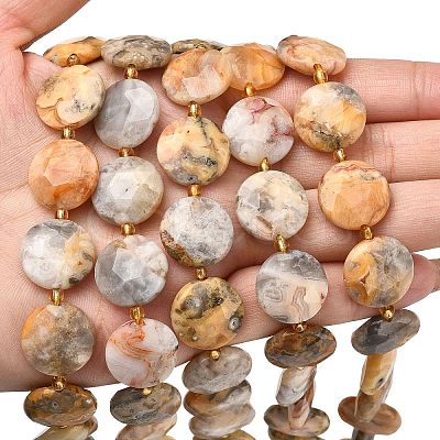 Natural Crazy Agate Beads Strands G-A292-A05-01-1