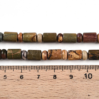 Natural Picasso Jasper/Polychrome Jasper Beads Strands G-N346-03A-05-1