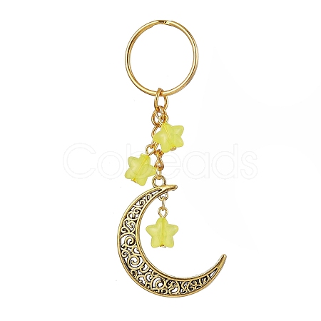 Tibetan Style Alloy Hollow Moon Pendant Keychain KEYC-JKC00690-01-1