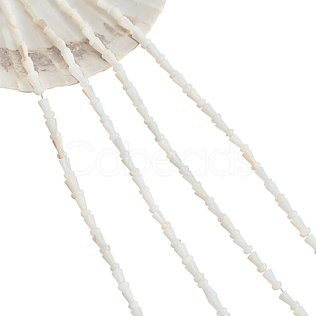 4 Strands Natural Freshwater Shell Beads Strands SHEL-NB0001-52-1