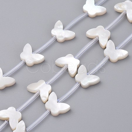 Natural White Shell Mother of Pearl Shell Beads SSHEL-L018-013-1