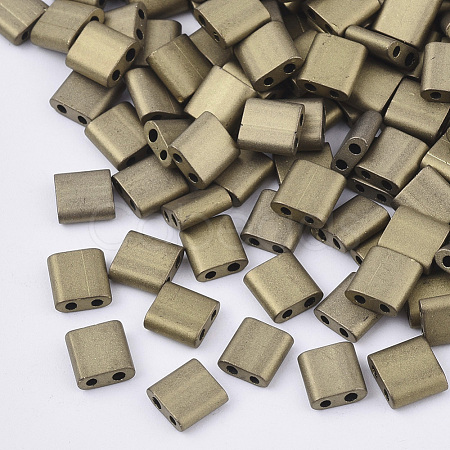 FGB 2-Hole Glass Seed Beads SEED-S031-L-601F-1