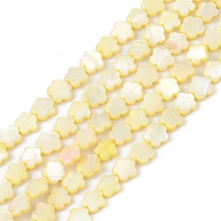 Natural Freshwater Shell Dyed Beads Strands SHEL-K001-001C-1