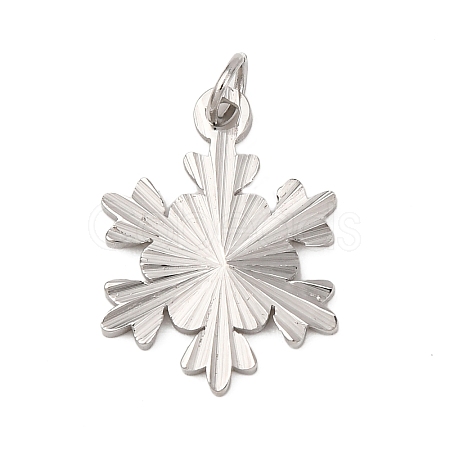 304 Stainless Steel Pendants STAS-A125-12P-1