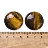 Natural Tiger Eye Cabochons G-B085-02A-05-3