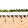 Natural Canadian Jade Beads Strands G-G259-D01-3mm-5