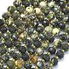 Natural African Turquoise(Jasper) Beads Strands G-K389-E71-01-1