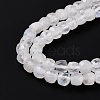 Natural Rainbow Moonstone Beads Strands G-K315-A11-3