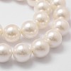 Shell Pearl Bead Strands X-BSHE-L026-03-14mm-3