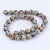 Natural Dalmatian Jasper Beads Strands G-Q462-4mm-30-2