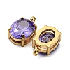 304 Stainless Steel Charms Micro Pave Cubic Zirconia STAS-L022-160G-2