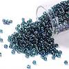 TOHO 8/0 Round Beads X-SEED-TR08-0167BD-1