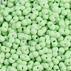 Baking Paint Glass Seed Beads X1-SEED-K010-A18-2